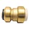 Apollo 1 in. IPS x 1 in. CTS Brass Push-to-Connect Conversion Coupling FSBIPSC1 - alternate 1